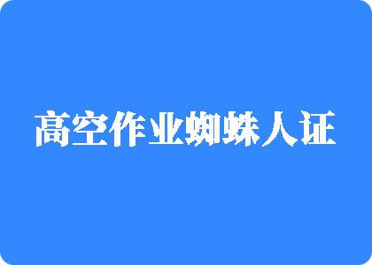 男生操女生逼视频高空作业蜘蛛人证